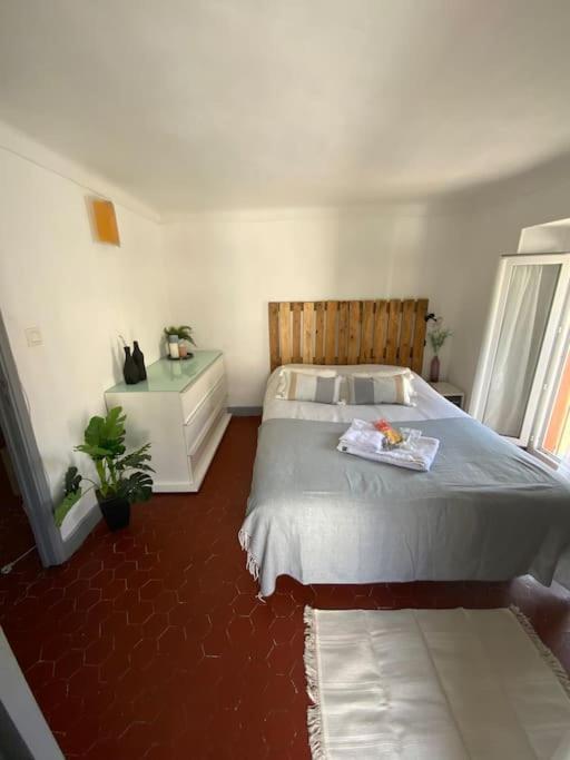 Appartement Typique Nicois En Plein Centre Ville Nicea Zewnętrze zdjęcie